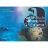 Archeologia subacquea in Calabria